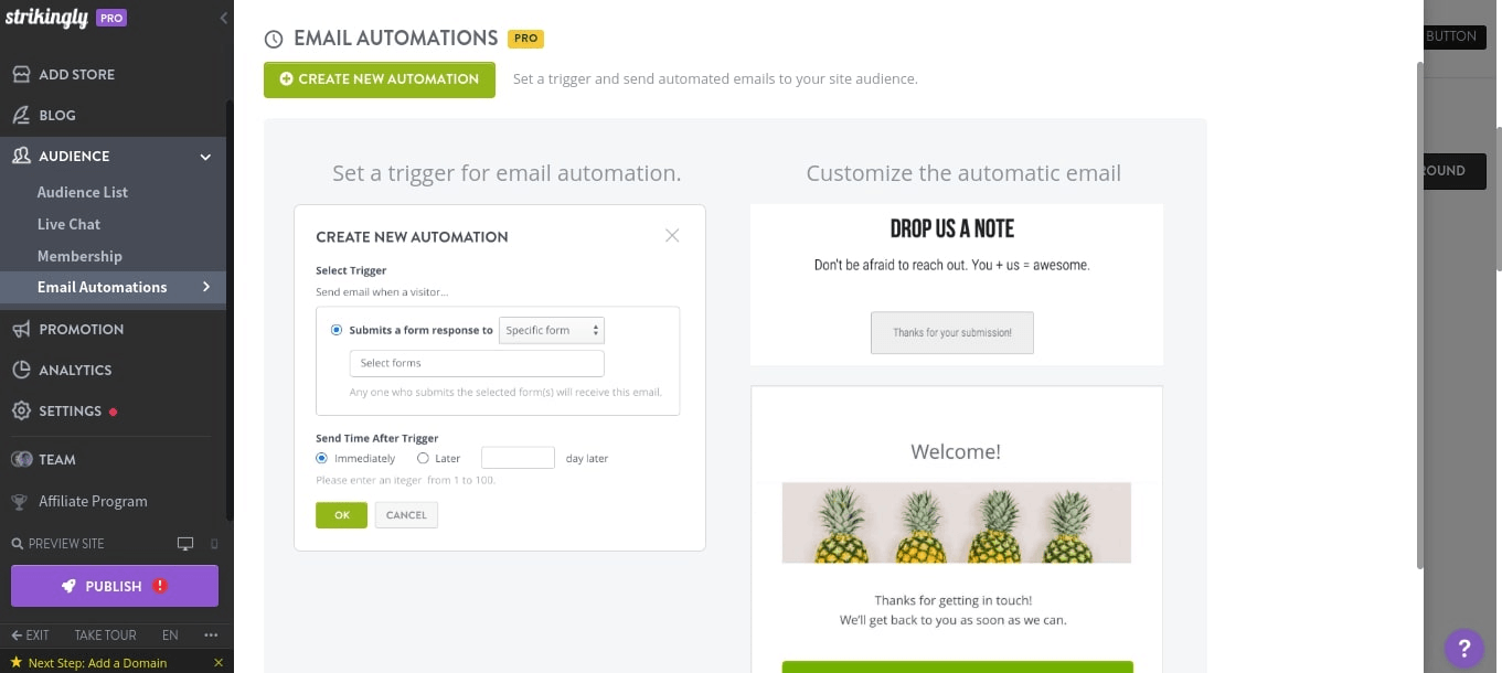 null Promotion options on Strikingly for Finance Blogs